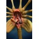 Aliens Replica 1/1 Facehugger 72 cm